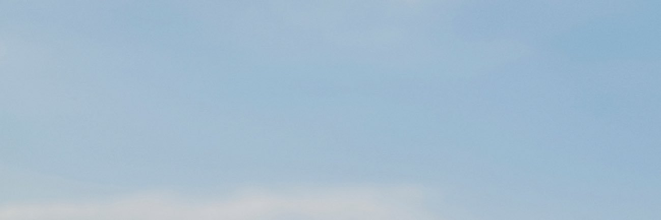 dndino banner