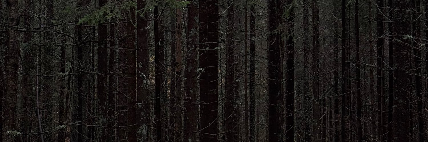 nataynat's profile banner image