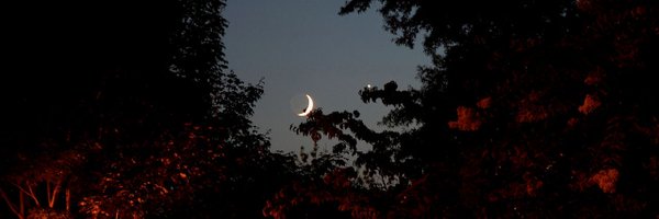 ElegantLunar Profile Banner