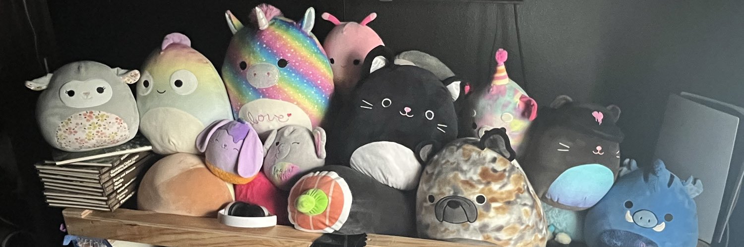 Squishmallow Photographer banner