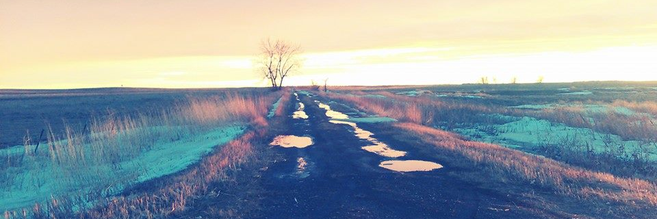 Pheasant Country 103 banner