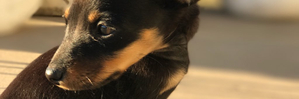 RawBeeGee's profile banner image