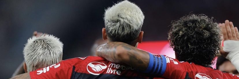starilha's profile banner image