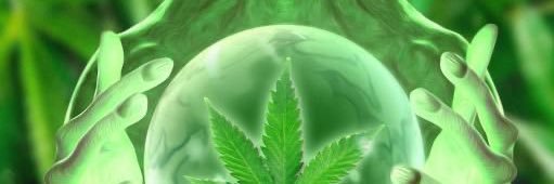 fr5nchu banner