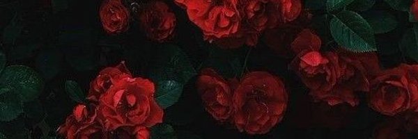 Helpl3ssL0vrr Profile Banner