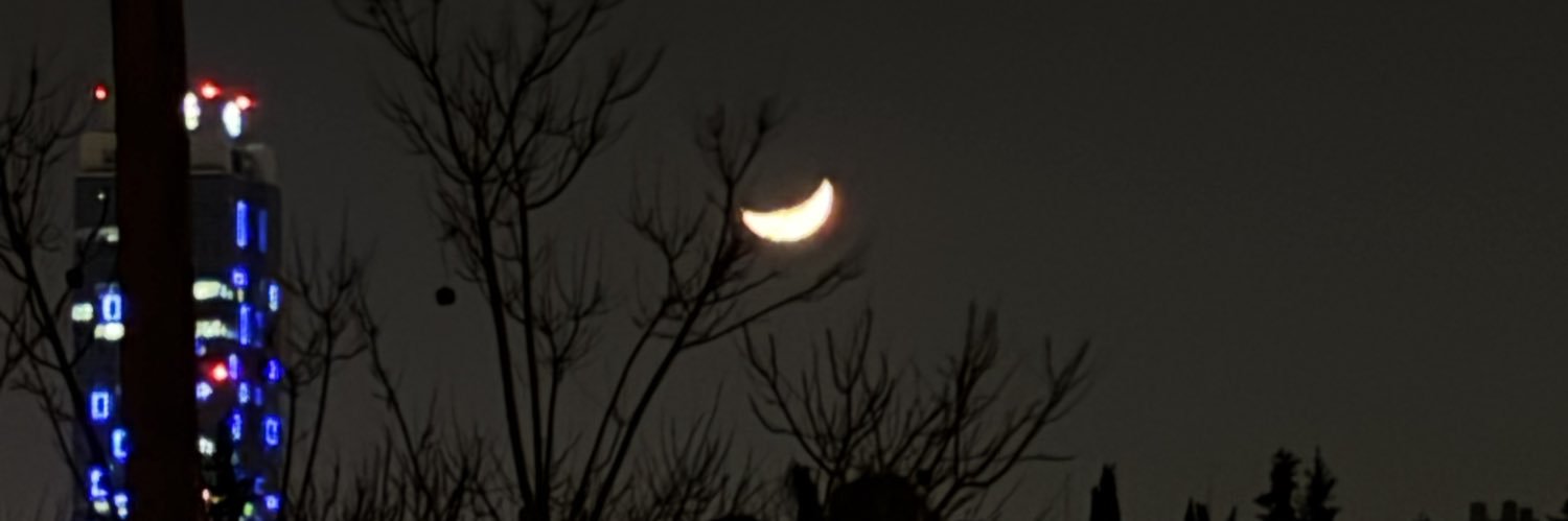y banner
