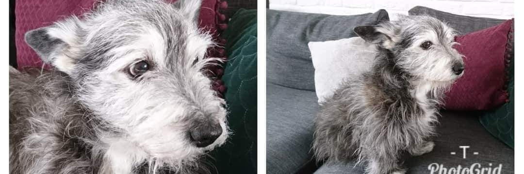 Marc Telgenhof banner