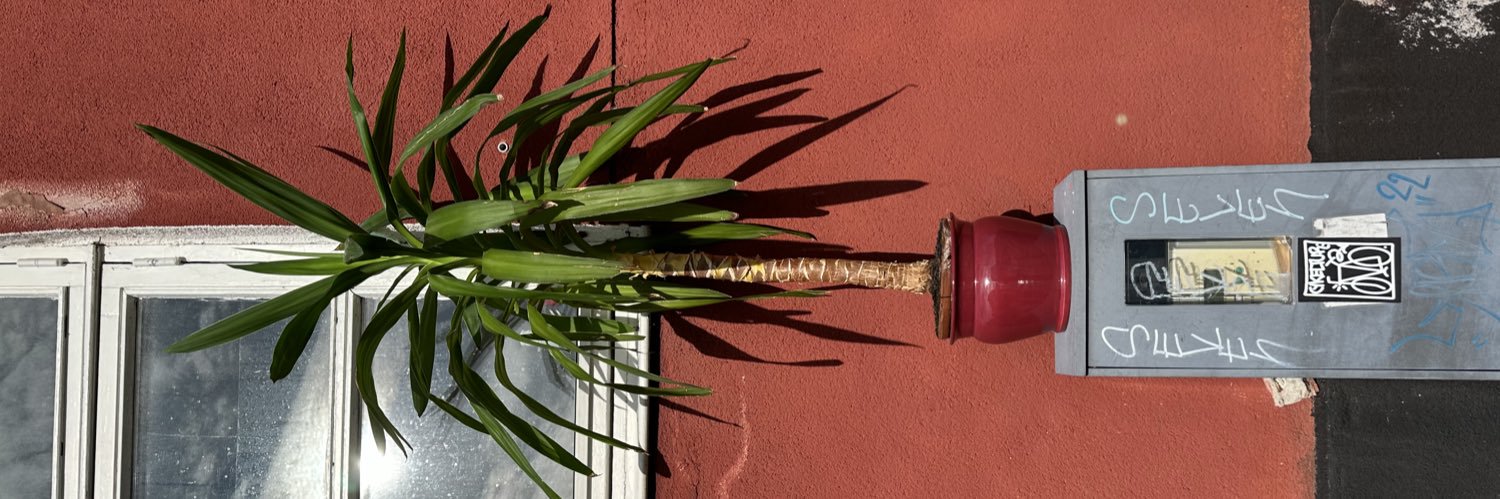 skatmon 🌐☸️ banner