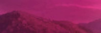 Duda The hedgefox 🔞 banner