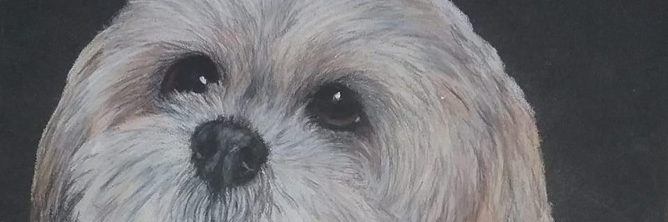 SimplyRelish's profile banner image