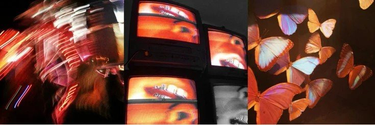 applerosess's profile banner image