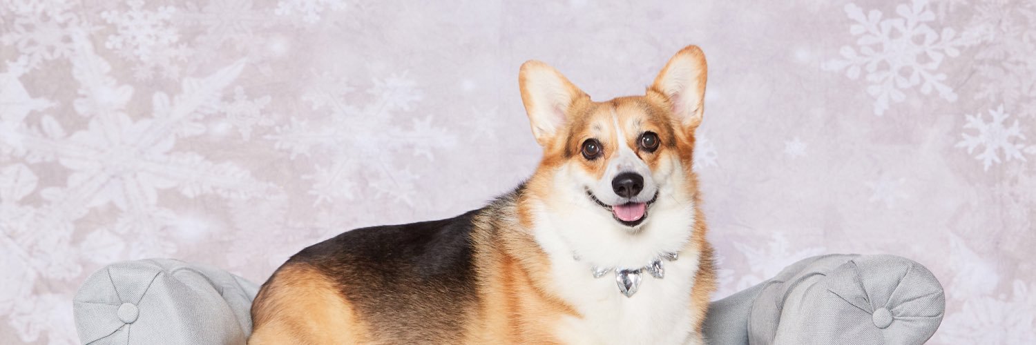 PoniesPonies's profile banner image