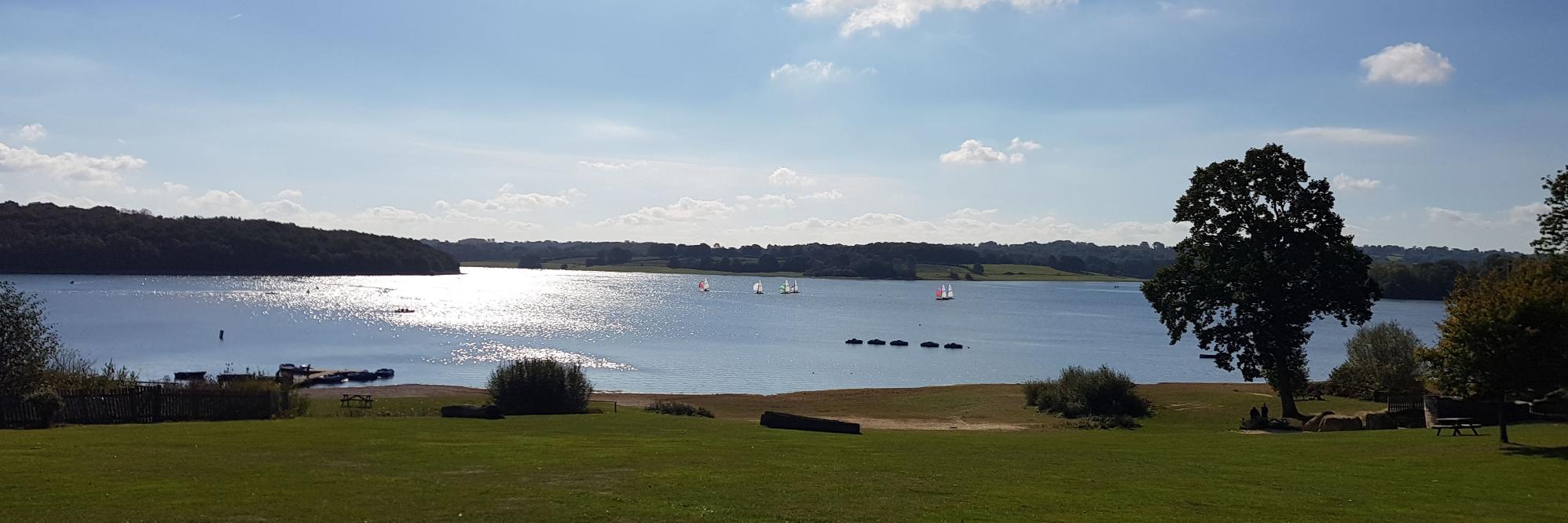 Hannah Maybour banner