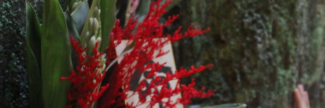 Hitomickeymouse's profile banner image