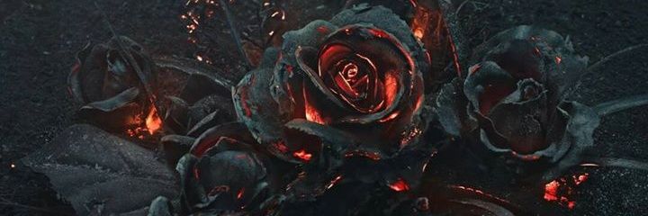 tm4458's profile banner image