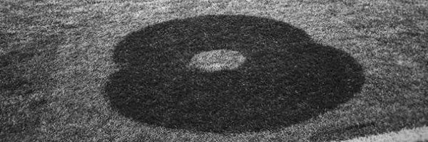 SammyImp Profile Banner