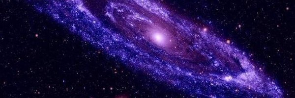 moonlitichor Profile Banner