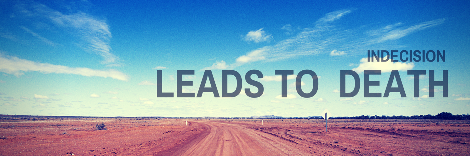 Diego Snayers banner