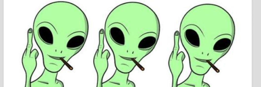 aleeebach's profile banner image