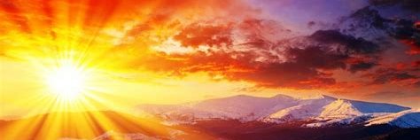 Grandma Democrat banner