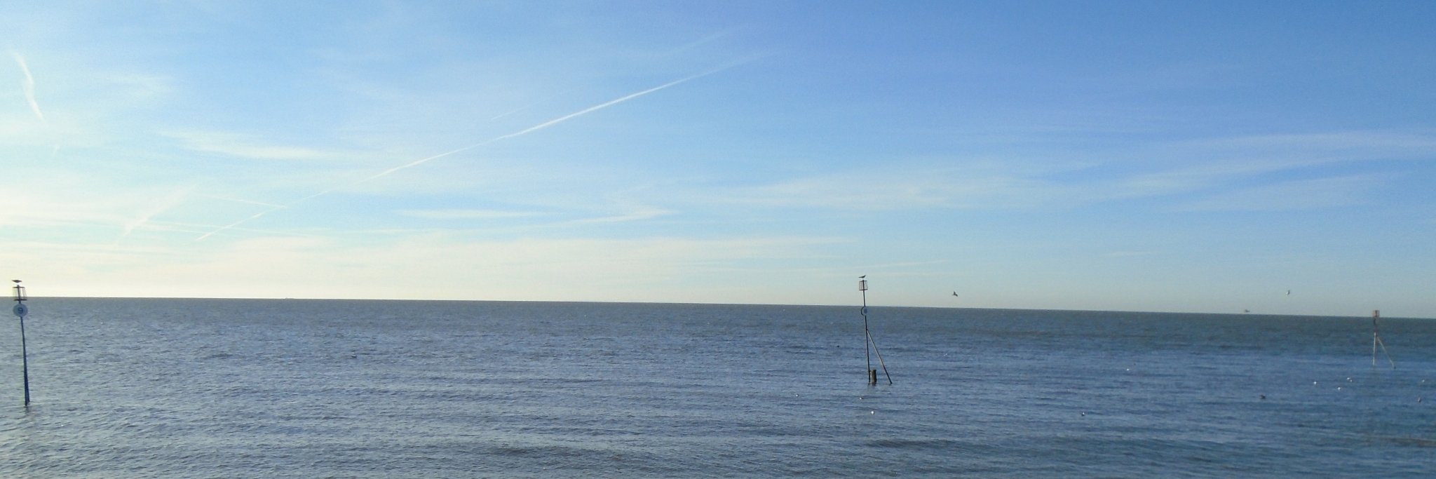 Chris Grimshaw-Cox banner