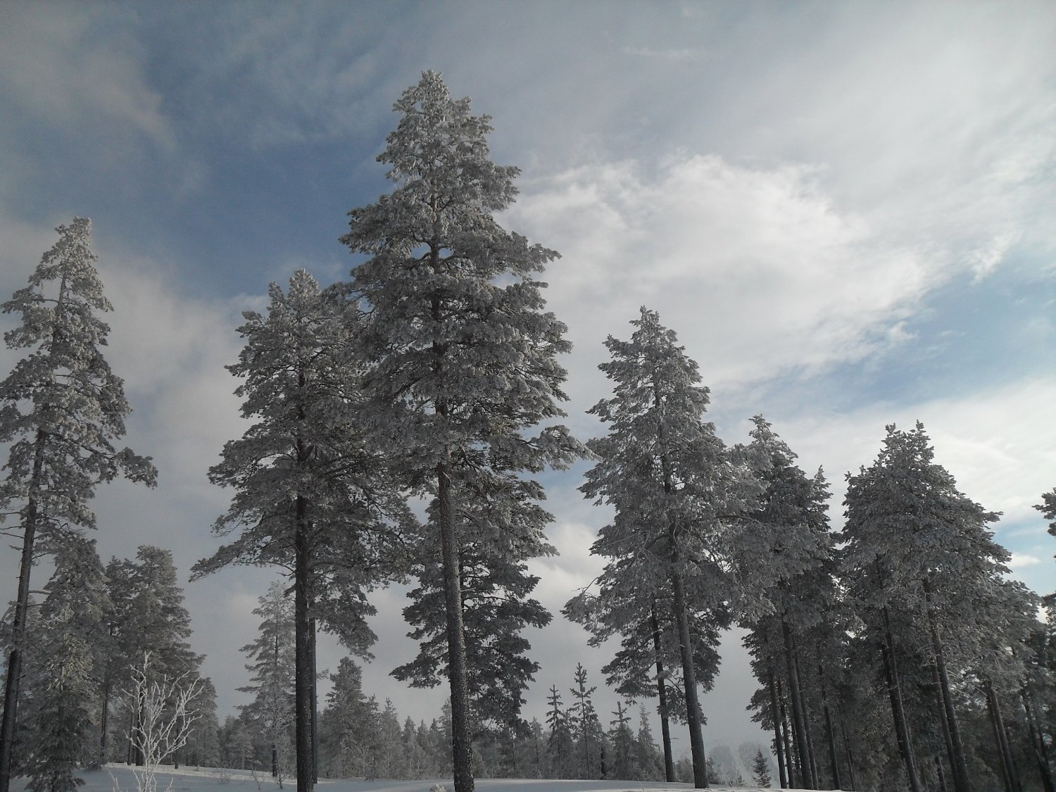 AndersI's profile banner image