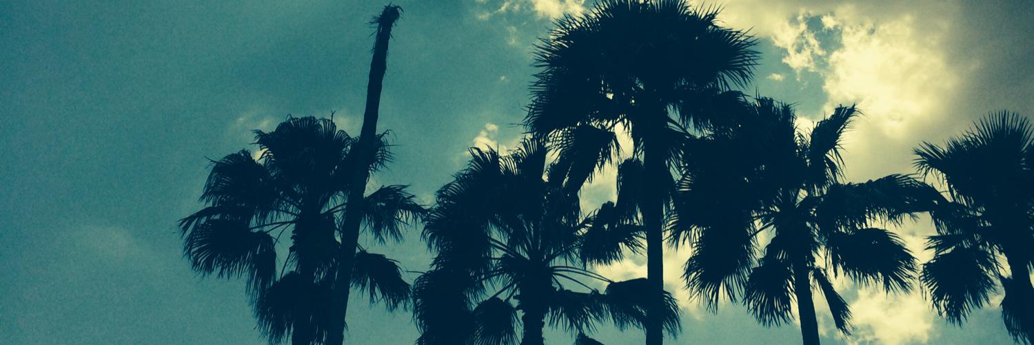 alliecat1024's profile banner image