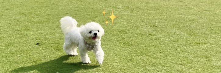 姍姍 banner
