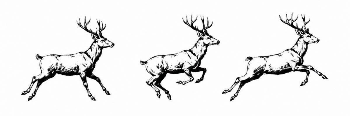 nollmade's profile banner image