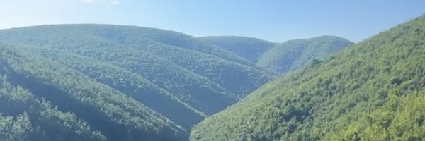 leealbb15 Profile Banner