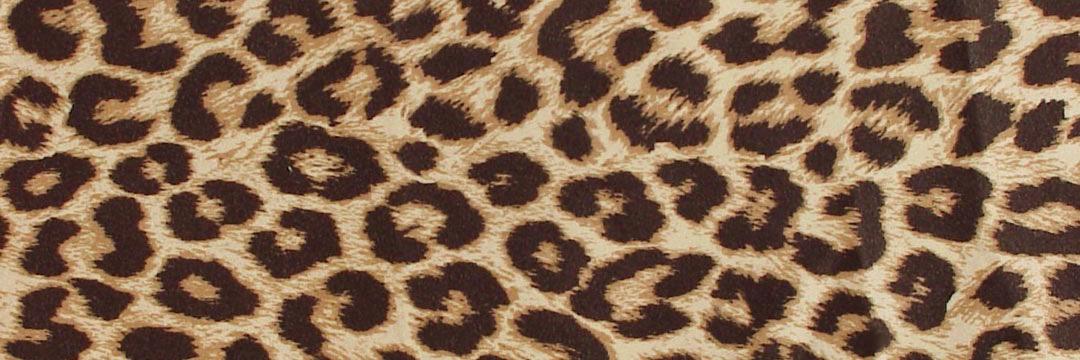smithychick's profile banner image