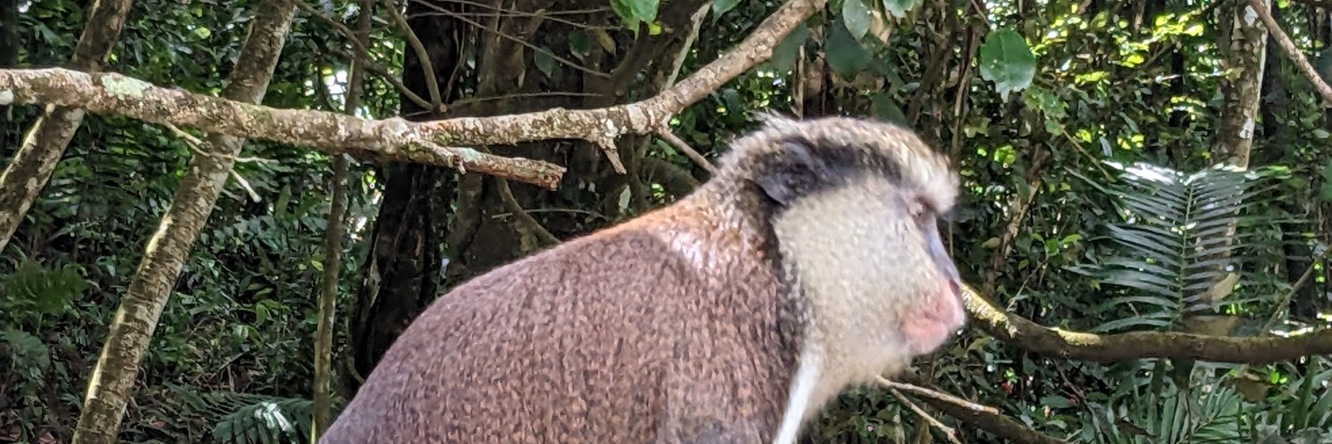 triciauno's profile banner image