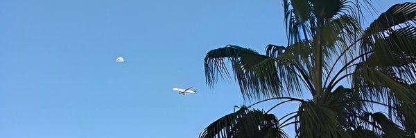 t1aie Profile Banner