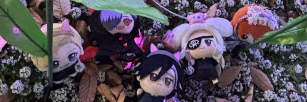 Oyster_pp Profile Banner