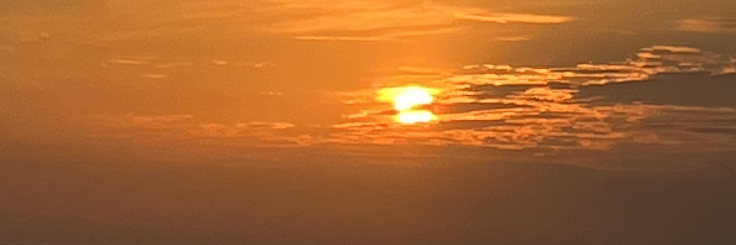 vannojjula's profile banner image