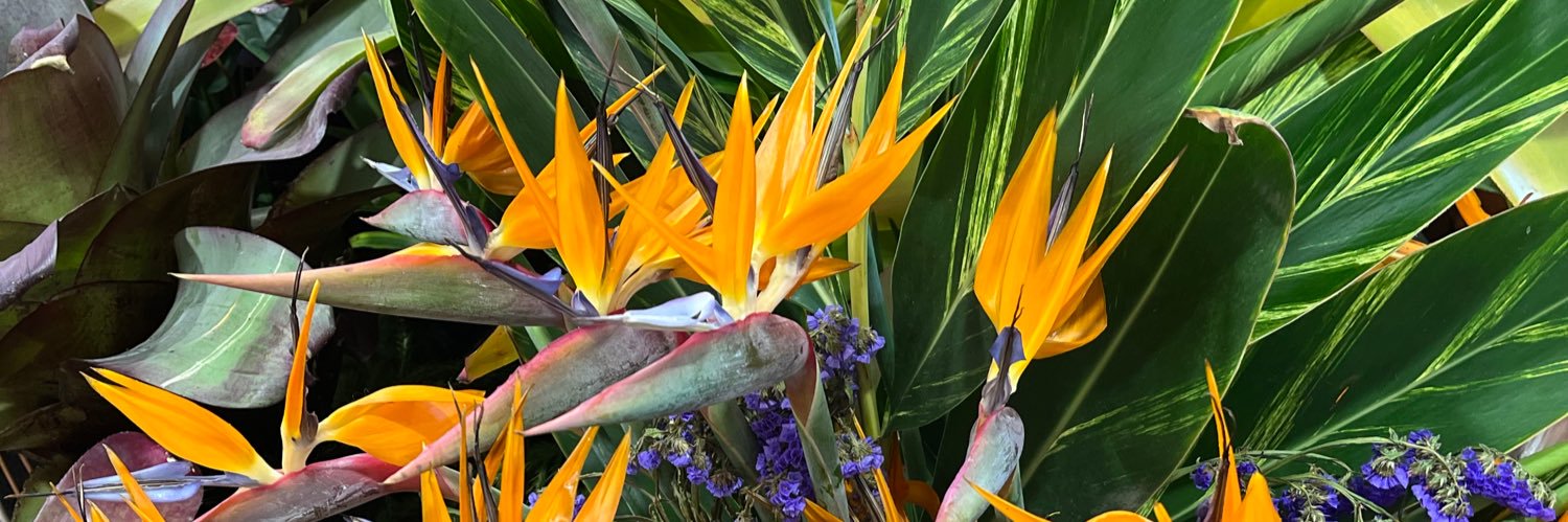 Loraine Midda MBE banner