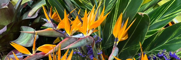 lolmid Profile Banner