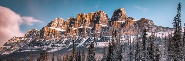 danschyk Profile Banner