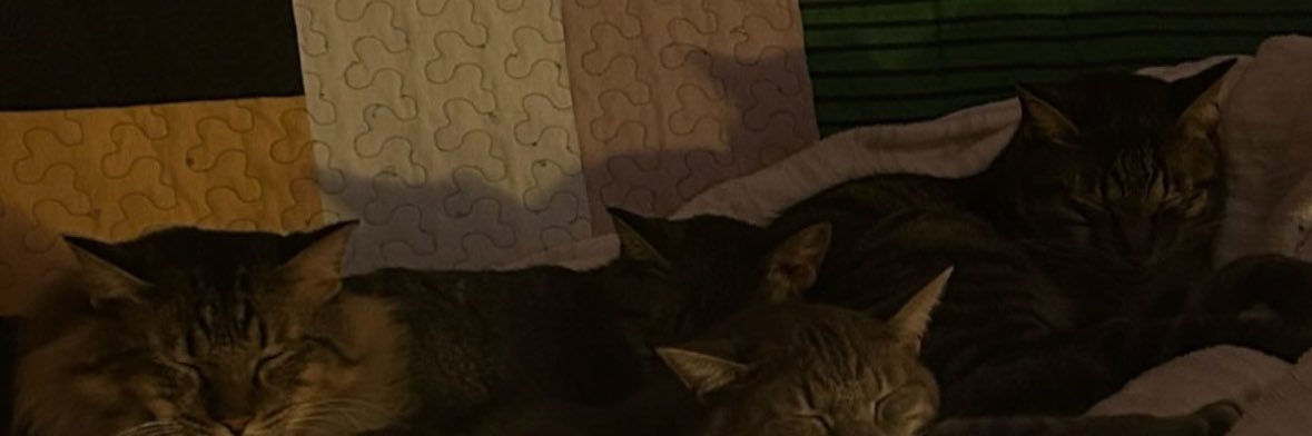 志久 banner