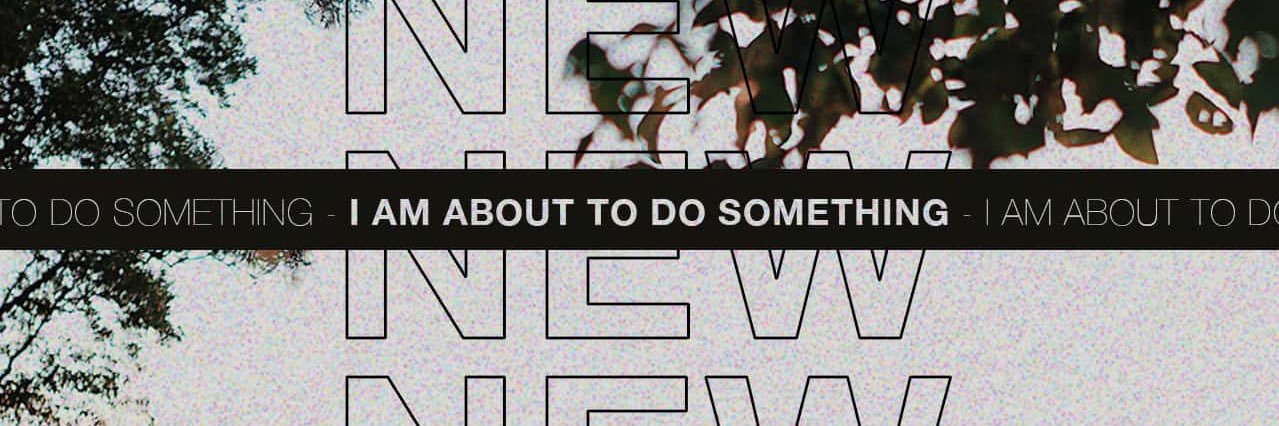 evs banner
