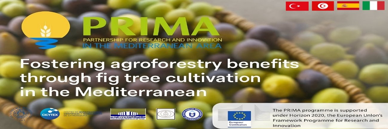 AGROFIG PRIMA banner