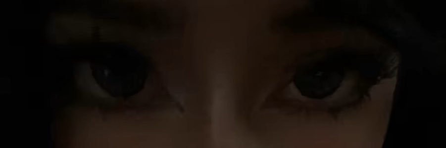 evil large lady banner