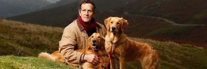 realmontydon's profile banner image