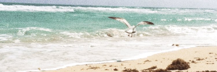 paulidecastro's profile banner image