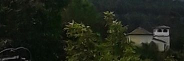 Ana Tedesco banner