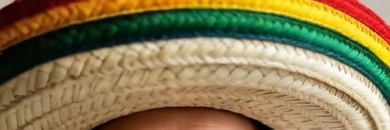 Star Gismonti banner