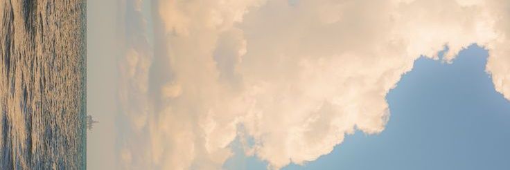 Relia Amanda✨ banner