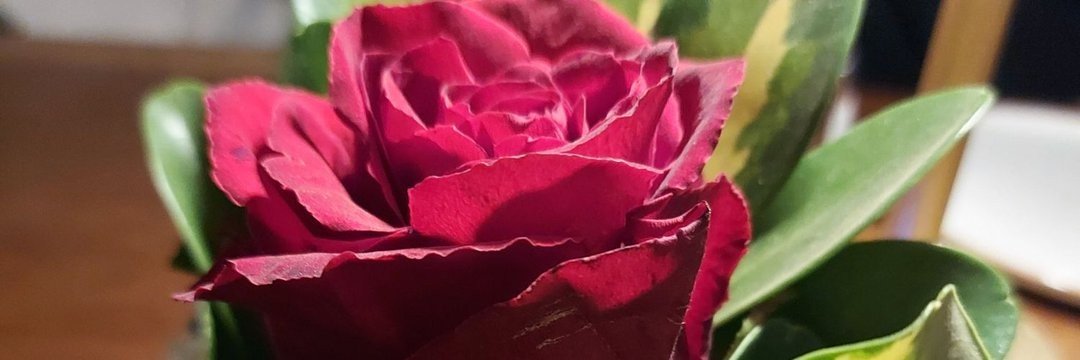 IIbrahim559623's profile banner image
