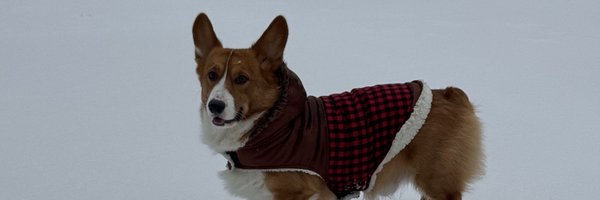 elopez_115 Profile Banner