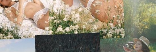AdamsF14235's profile banner image